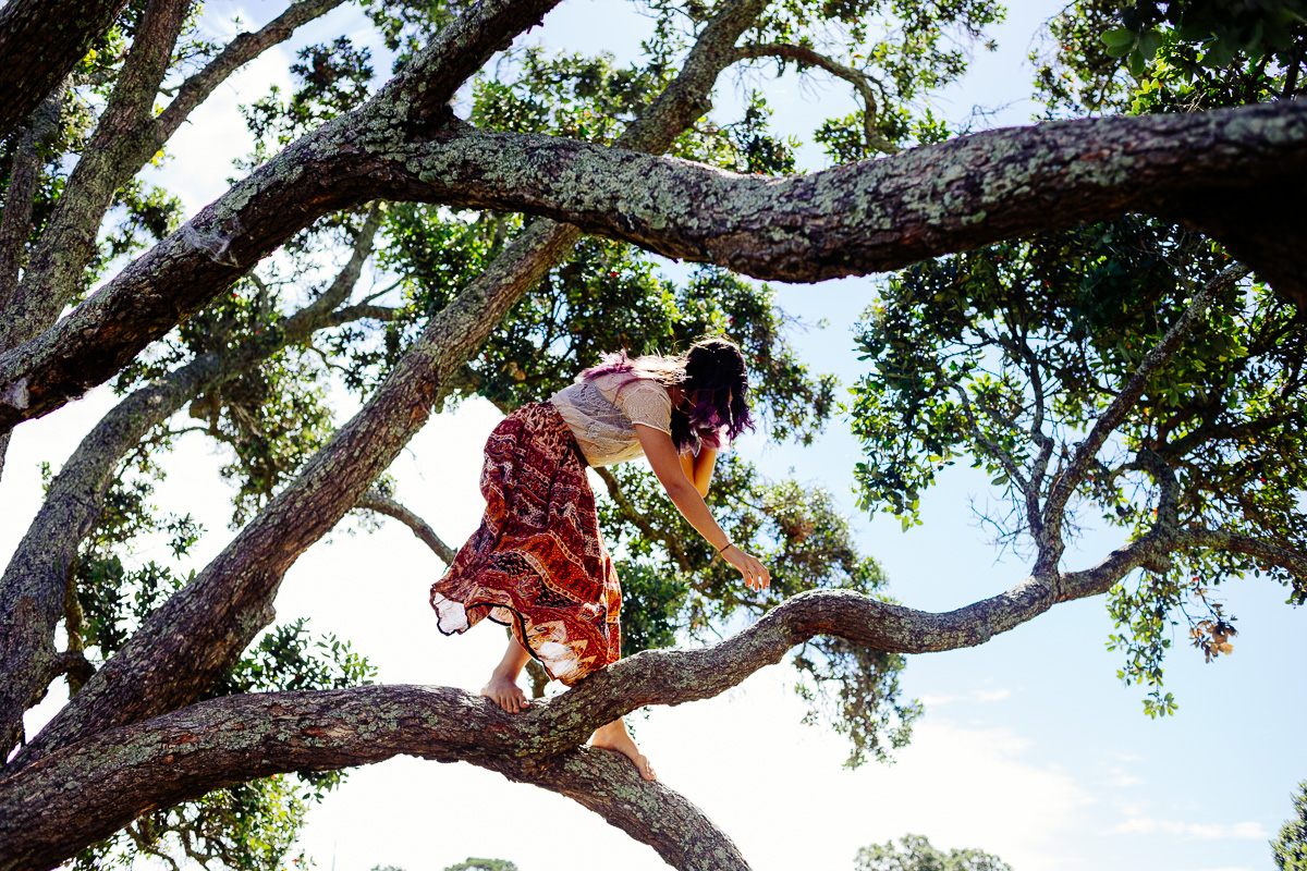 plant love picnic auckland domain new zealand nirrimi photography