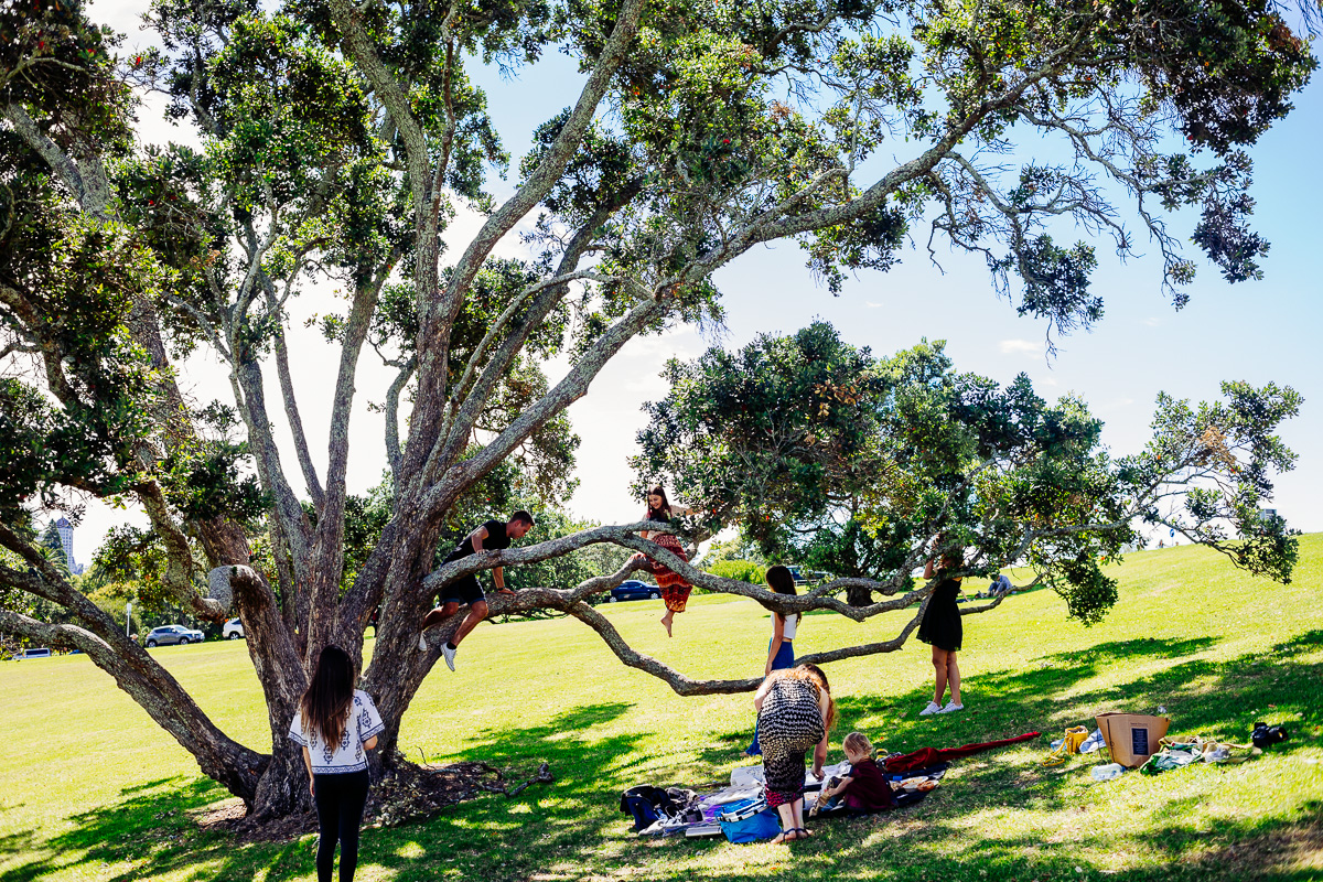 plant love picnic auckland domain new zealand nirrimi photography