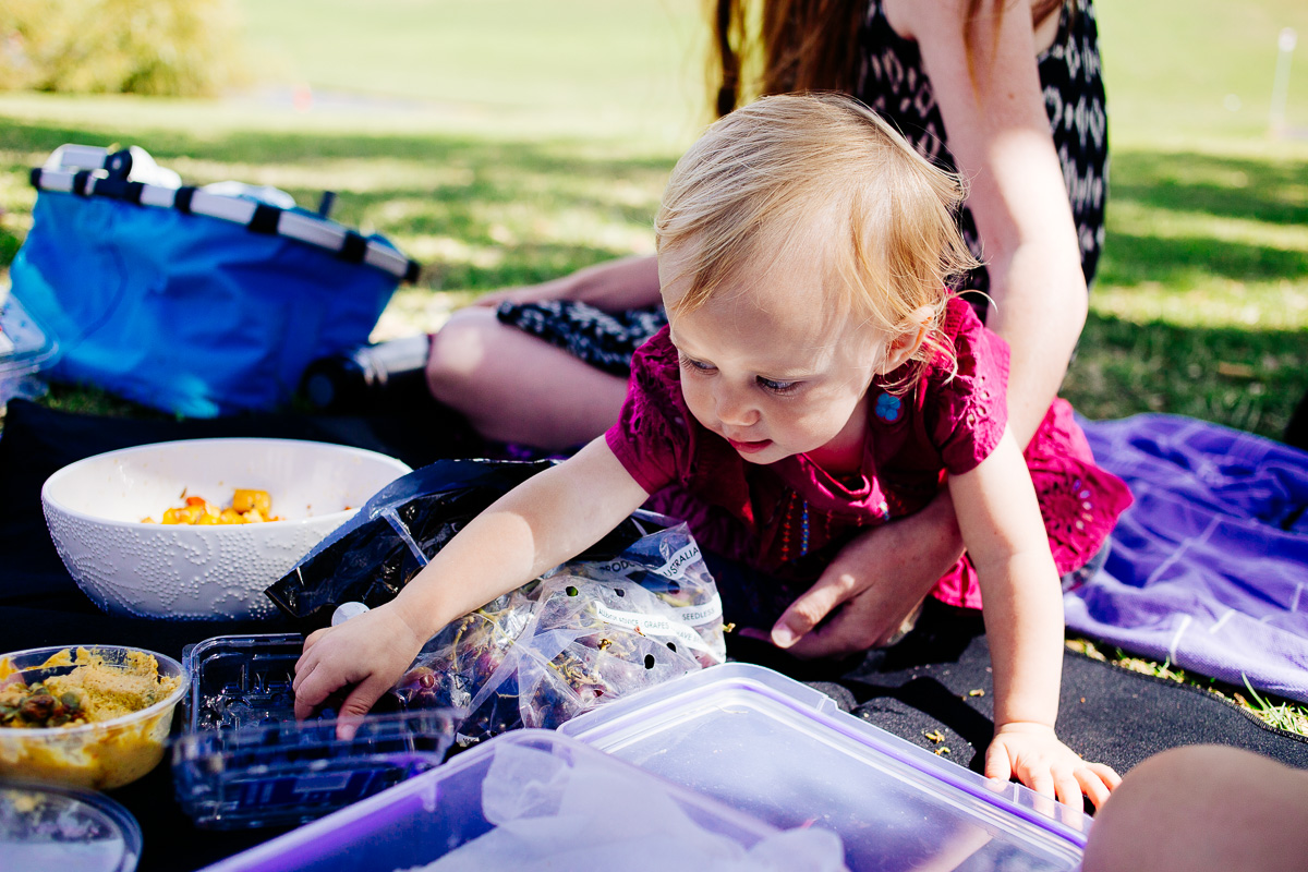 plant love picnic auckland domain new zealand nirrimi photography