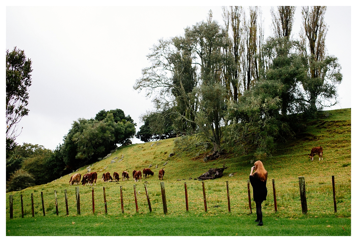 ellen richardson dawn chapman photography auckland, rainy portraits cornwall park cows vsco film