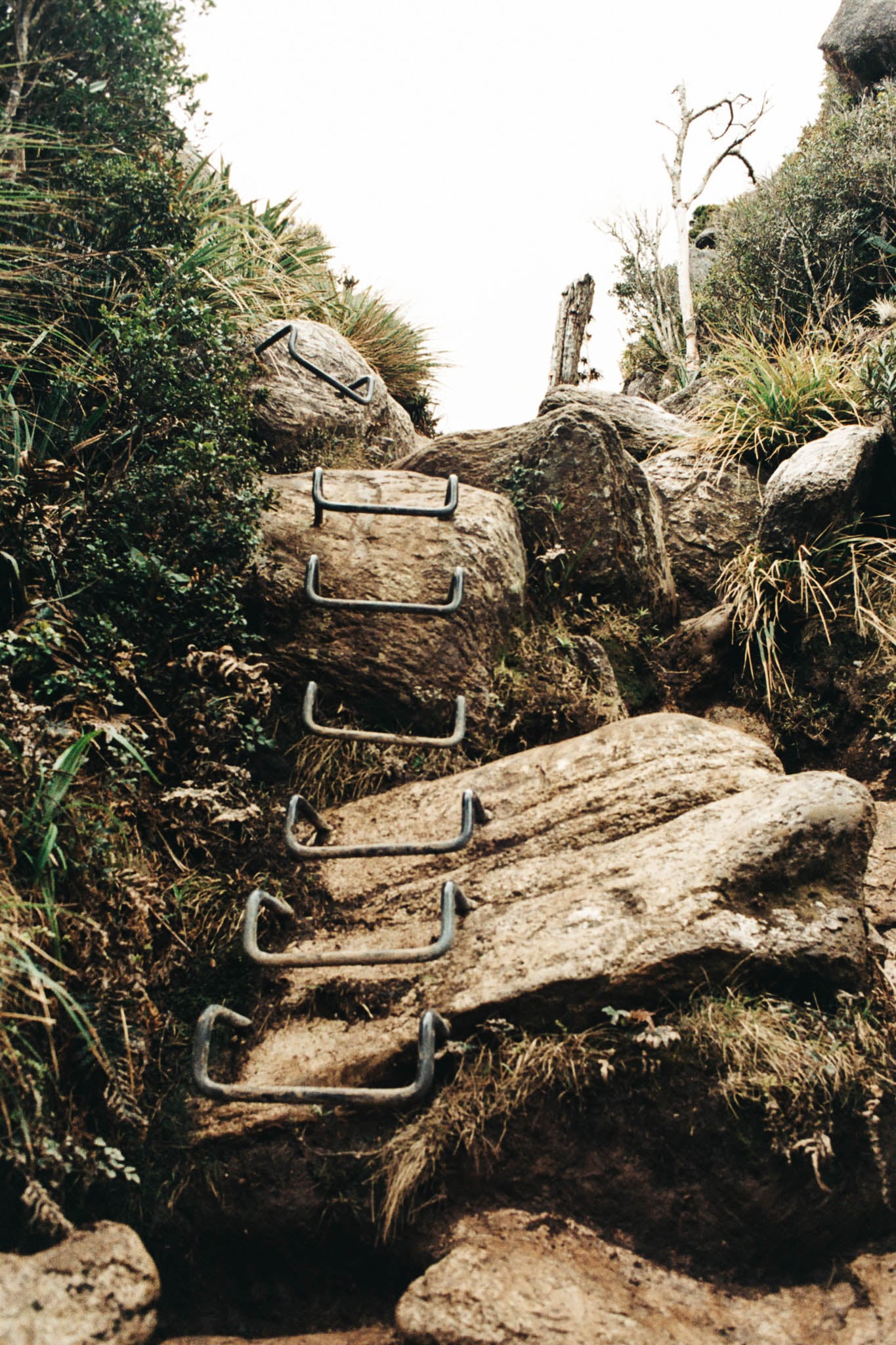  Metal rungs to climb the rocks 