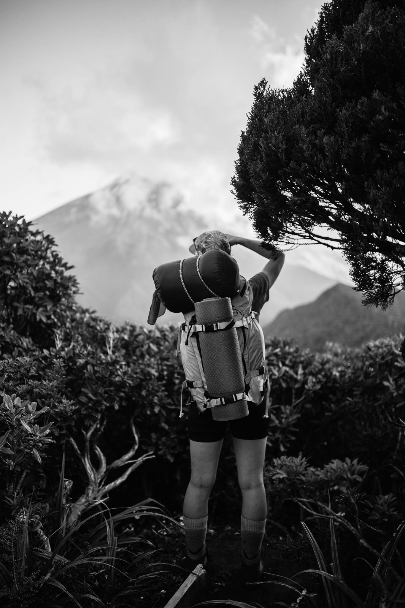 Ellen Richardson - Travel - Mt Taranaki-37.jpg