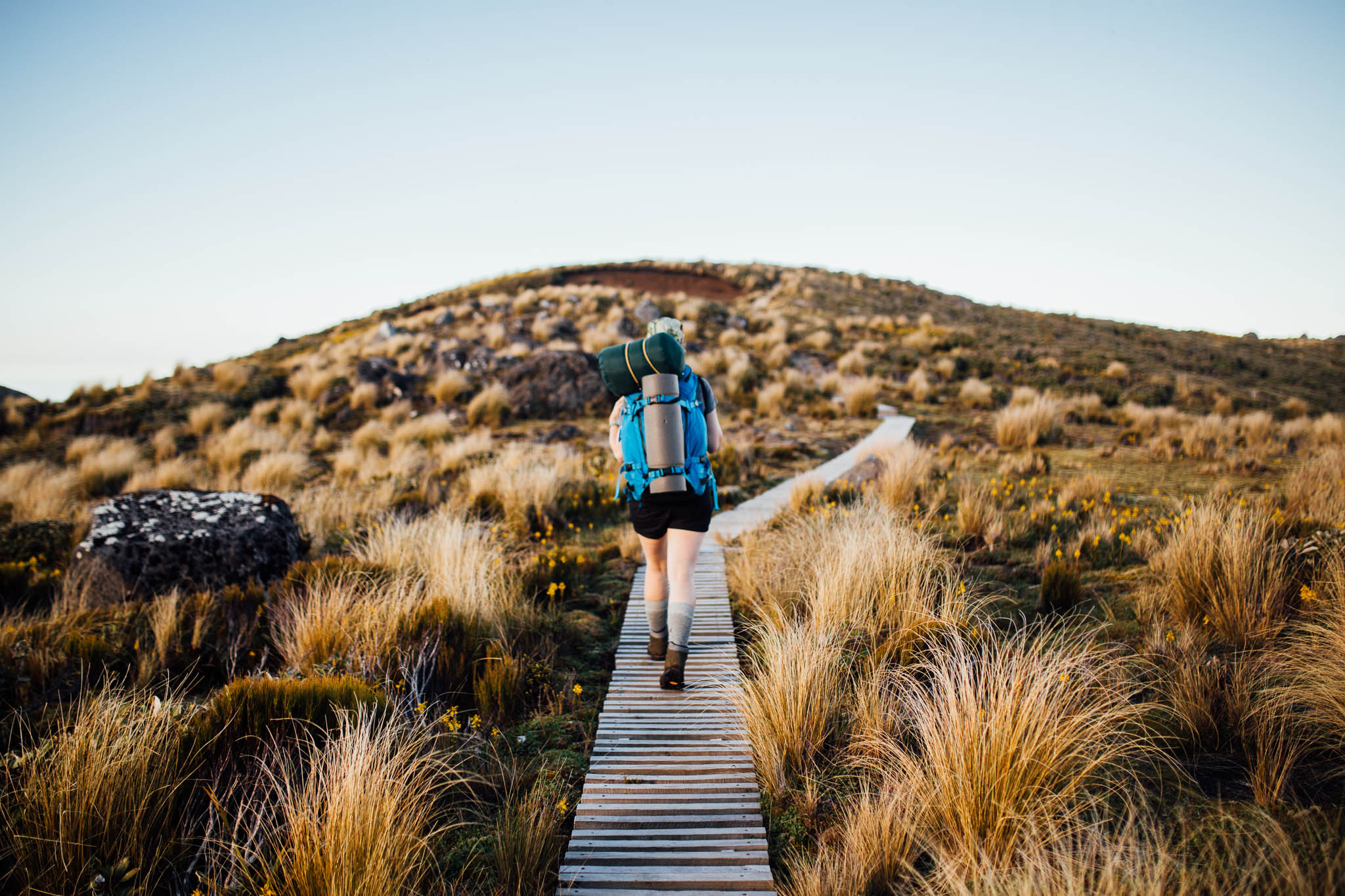 Ellen Richardson - Travel - Mt Taranaki-38.jpg