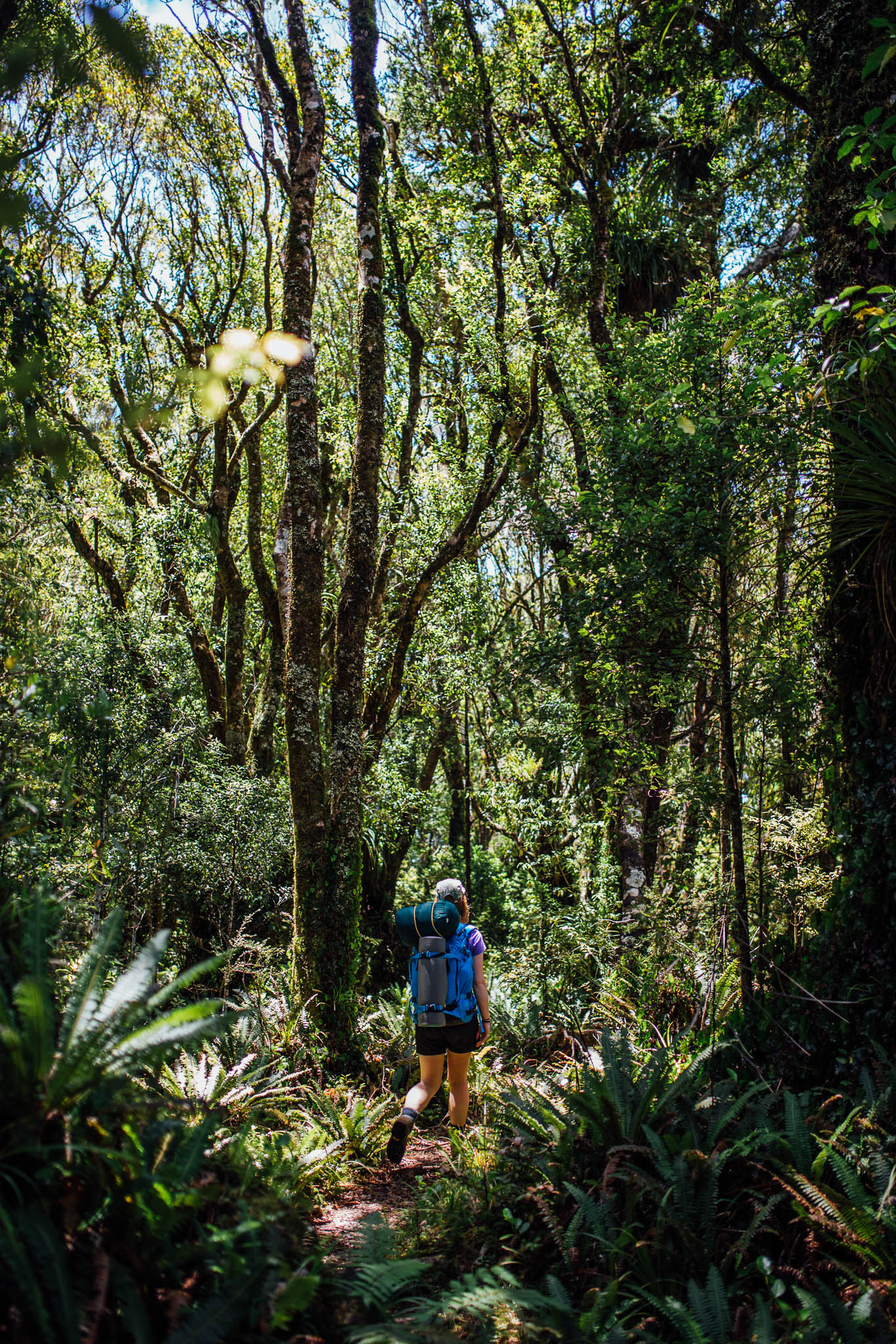 Ellen Richardson - Travel - Mt Taranaki-65.jpg