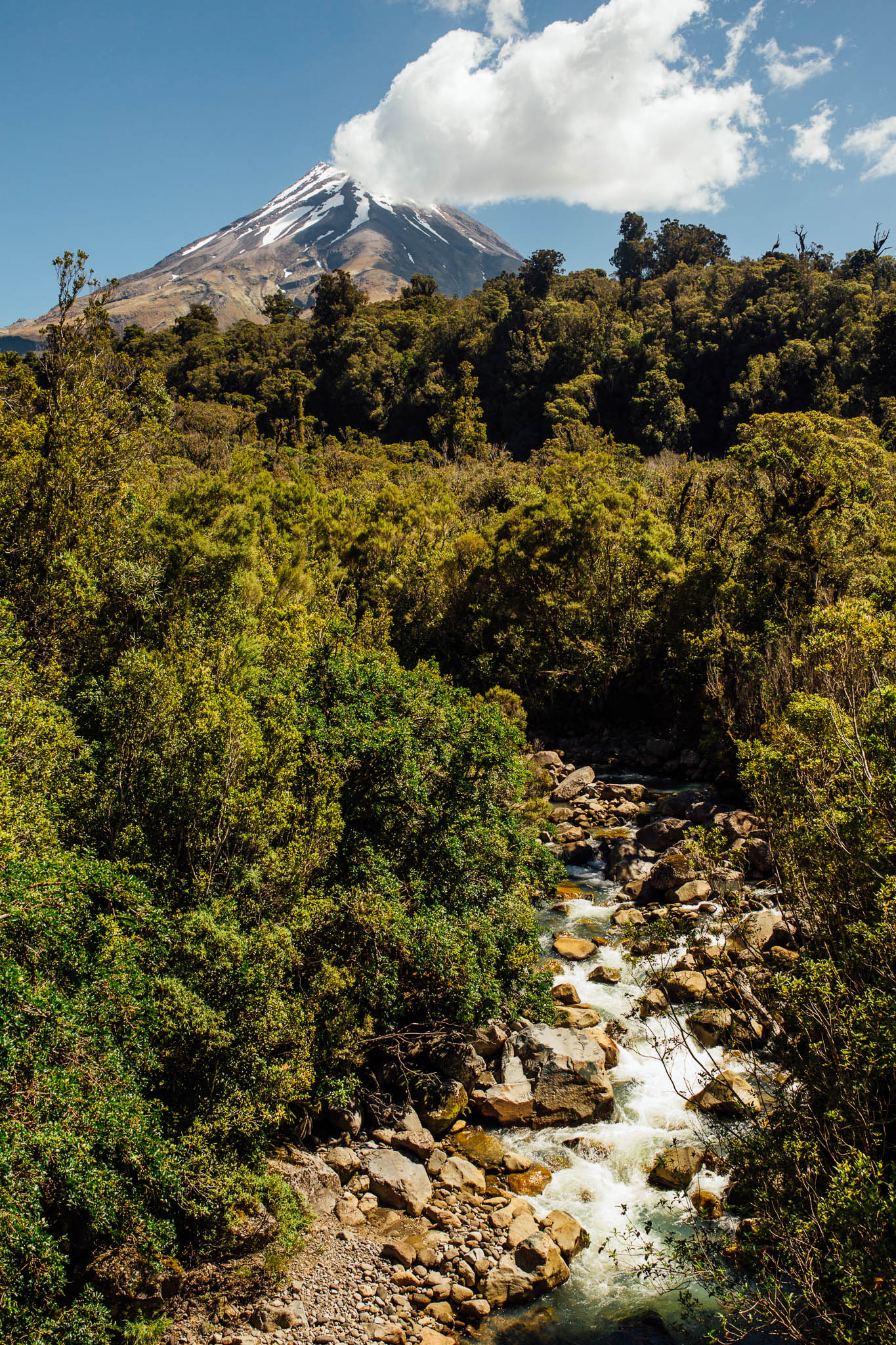 Ellen Richardson - Travel - Mt Taranaki-68.jpg