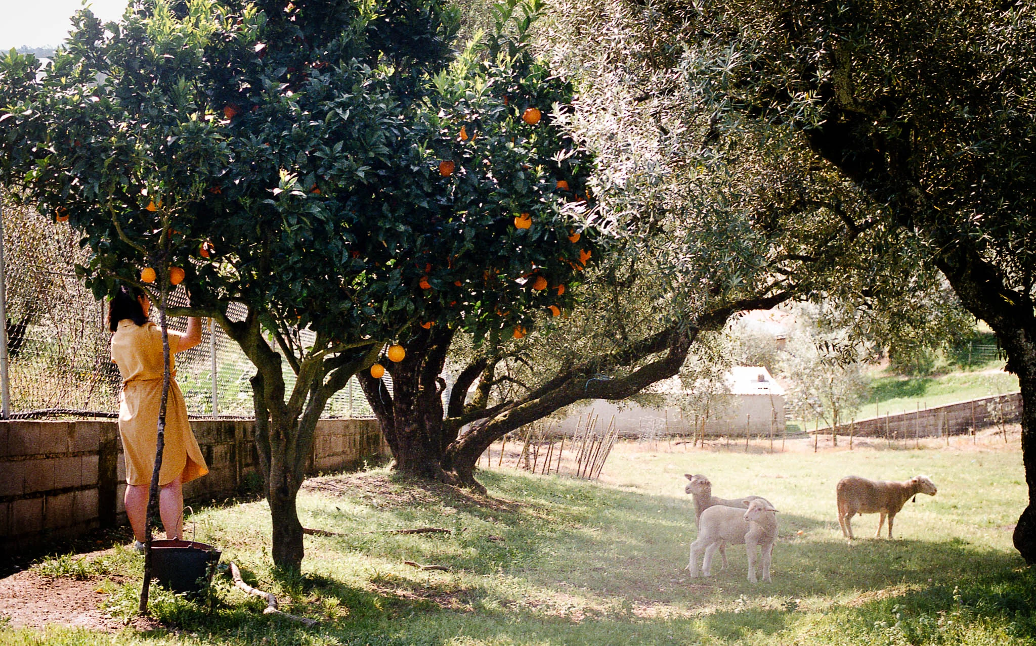Ellen Richardson - Travel - Portugal-15.jpg
