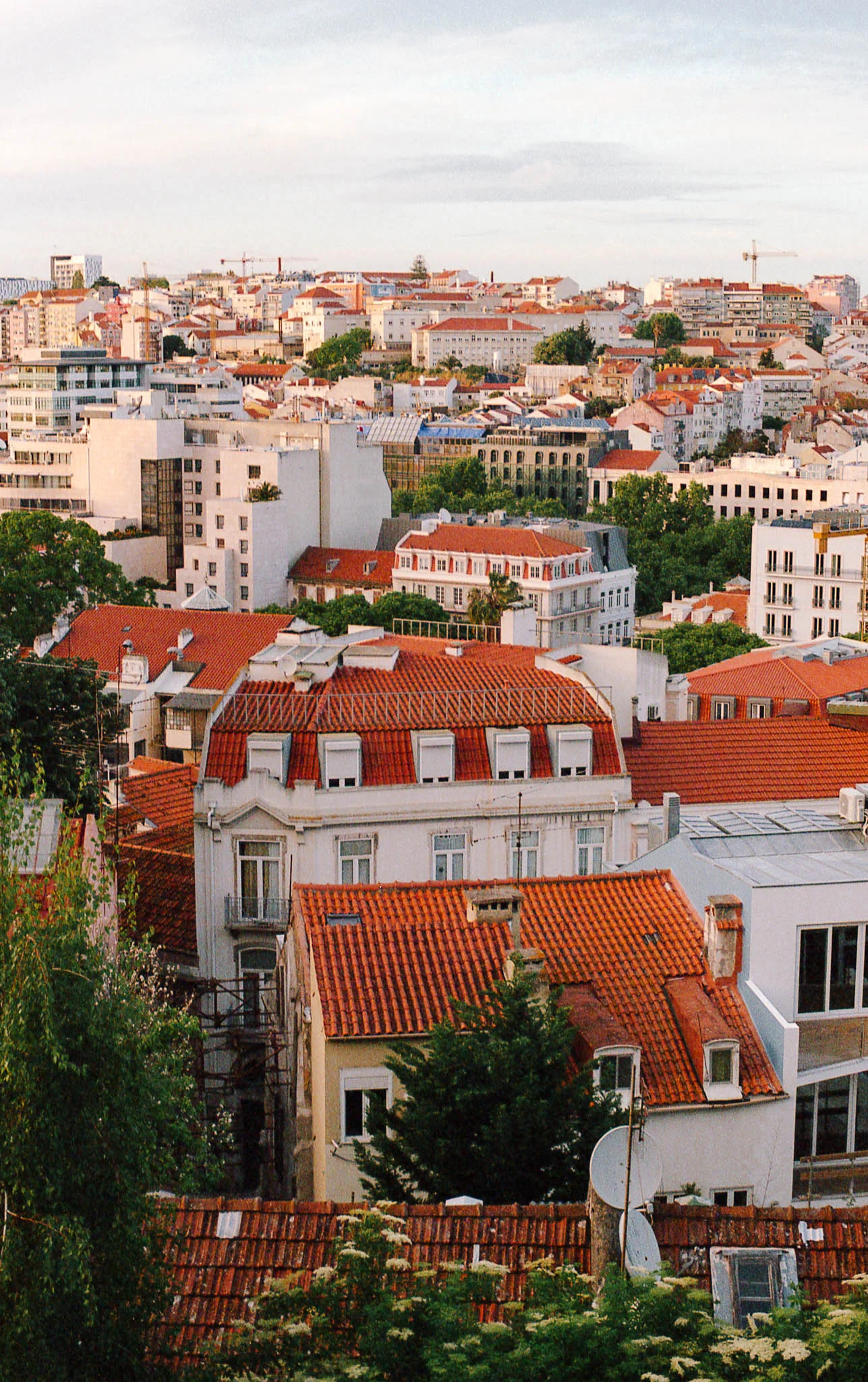 Ellen Richardson - Travel - Portugal-75.jpg