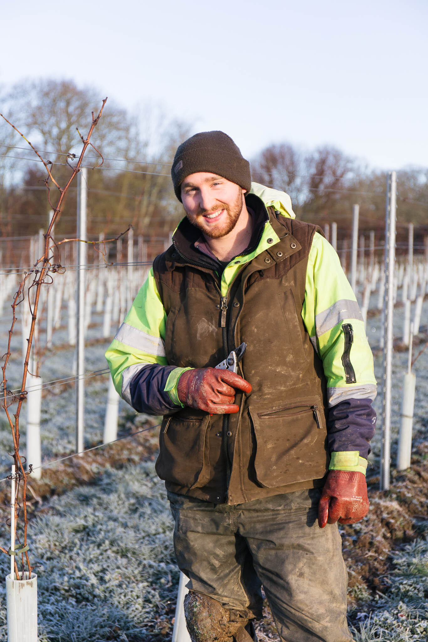 Ellen Richardson - Dillions Vineyard - Winter Frost-67.jpg