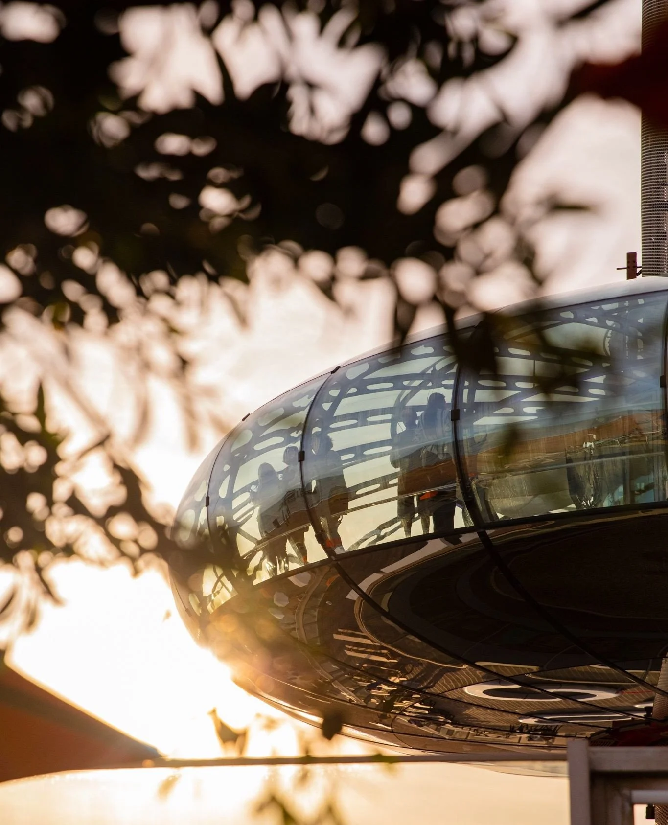 Making the most of the last of the autumn sunshine on the @driftbrighton terrace. Sea breeze, golden light, and the best seats in the house 🌤️