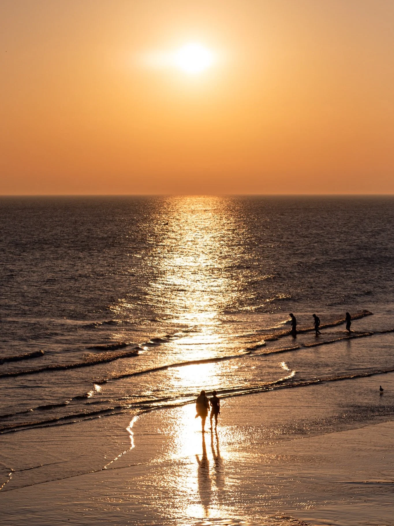 It&rsquo;s time.

#brighton #brightonbeach #sunset #spring #beach