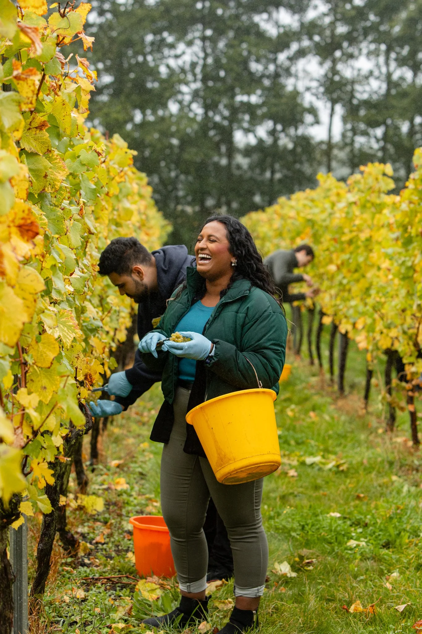 Ellen Richardson - Westwell Harvest 2025-45.jpg