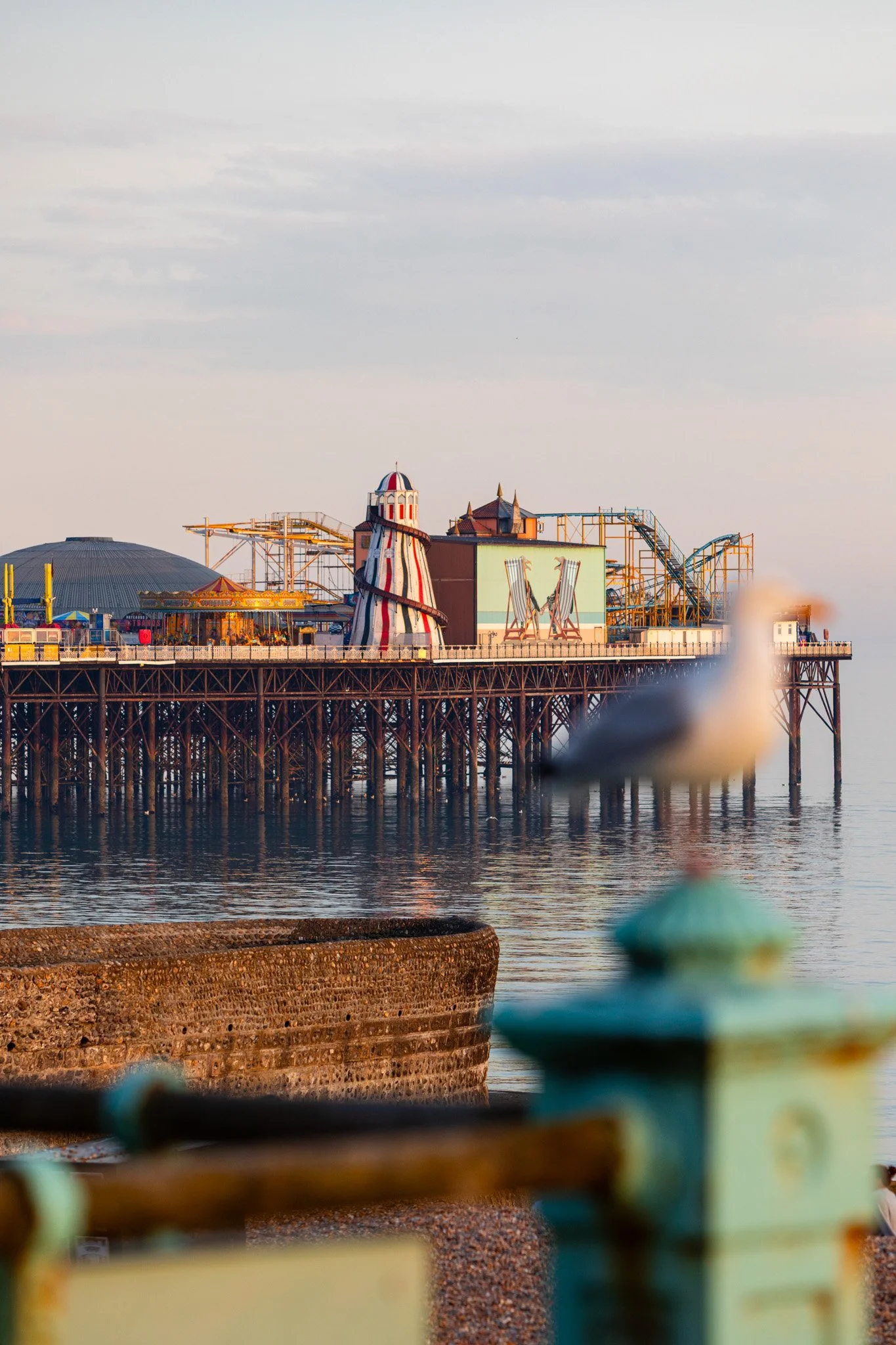 Ellen Richardson - Projects Brighton Vibes-84.jpg