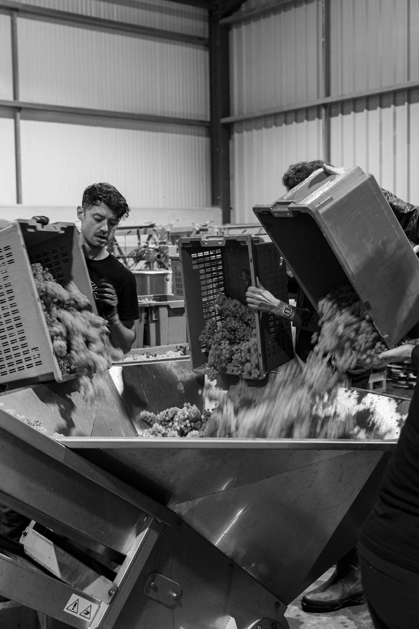 Ellen Richardson - Westwell Harvest 2025 BW-8.jpg