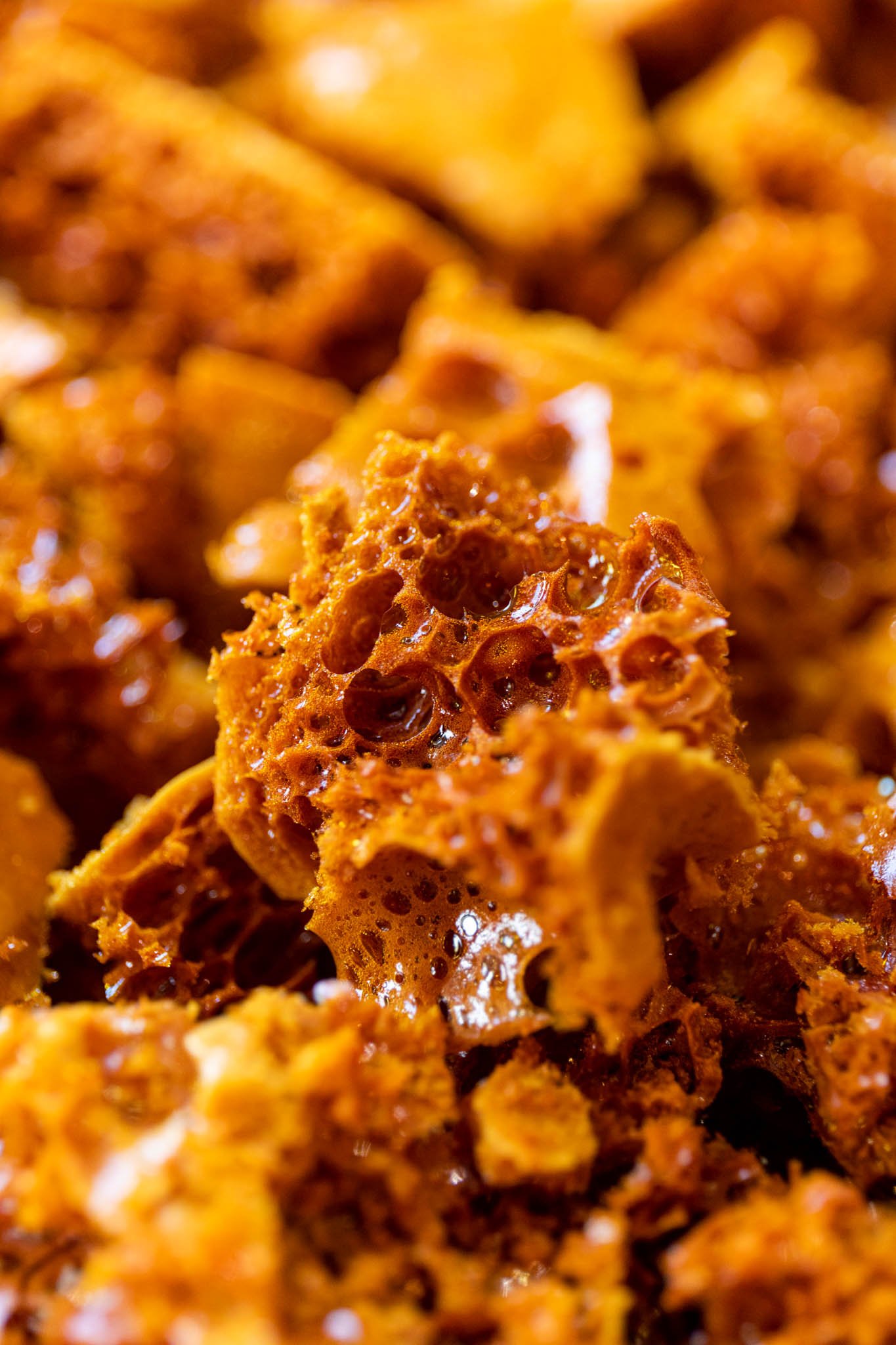 Ellen Richardson - Isaac At July 22-106.jpg