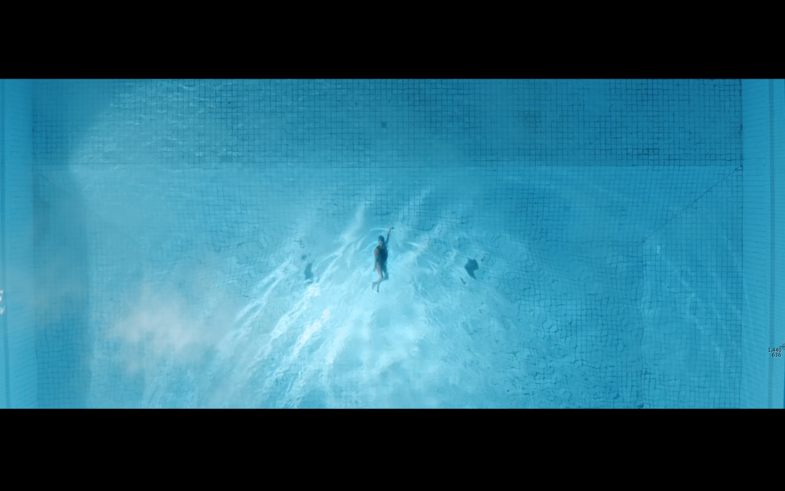 Screen Shot 2018-02-20 at 1.35.03 PM.png