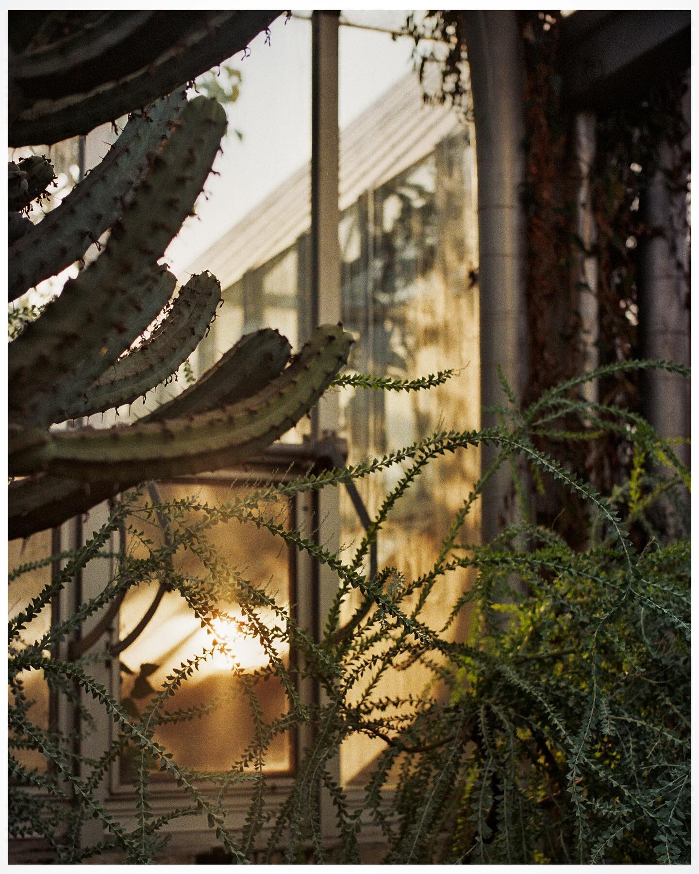 Fleeting sunlight in arid splendor - 2021 ⠀⠀⠀⠀⠀⠀⠀⠀⠀⠀⠀ ⠀ ⠀⠀⠀ ⠀
⠀⠀⠀⠀⠀⠀⠀⠀⠀⠀⠀ ⠀ ⠀⠀⠀ ⠀
 ⠀⠀⠀⠀⠀⠀⠀⠀⠀⠀⠀ ⠀ ⠀⠀⠀ ⠀
⠀⠀⠀⠀⠀⠀⠀⠀⠀⠀⠀ ⠀ ⠀⠀⠀ ⠀
⠀⠀⠀⠀⠀⠀⠀⠀⠀⠀⠀ ⠀ ⠀⠀⠀ ⠀
⠀
⠀⠀⠀⠀⠀⠀⠀⠀⠀⠀⠀ ⠀ ⠀⠀⠀ ⠀ ⠀⠀⠀⠀⠀⠀⠀⠀⠀⠀⠀ ⠀ ⠀⠀⠀ ⠀
⠀⠀⠀⠀⠀⠀⠀⠀⠀⠀⠀ ⠀ ⠀⠀⠀ ⠀ ⠀⠀⠀⠀⠀⠀⠀⠀⠀⠀⠀ ⠀ ⠀⠀⠀ ⠀

⠀ ⠀ ⠀⠀⠀ ⠀
⠀⠀⠀⠀⠀⠀⠀⠀⠀⠀⠀ ⠀ 