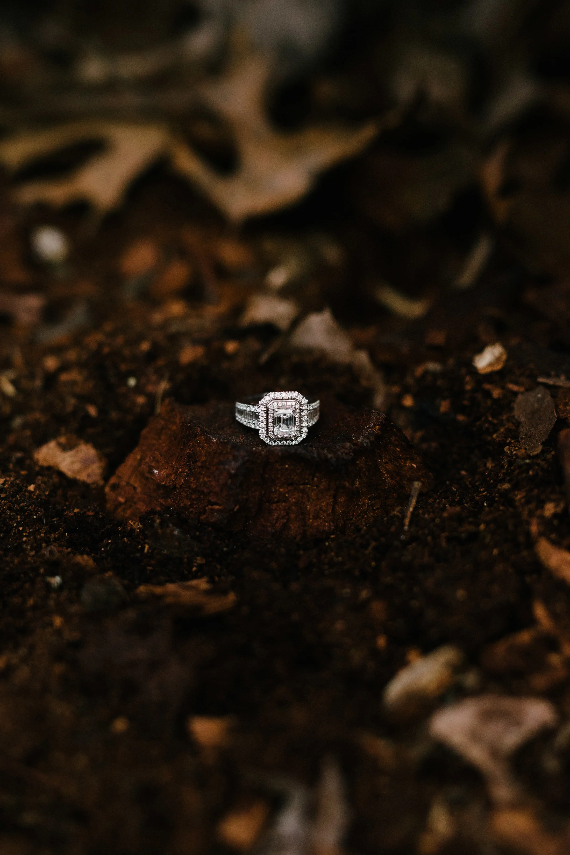rectangular cut diamond engagement ring nestled in a tree