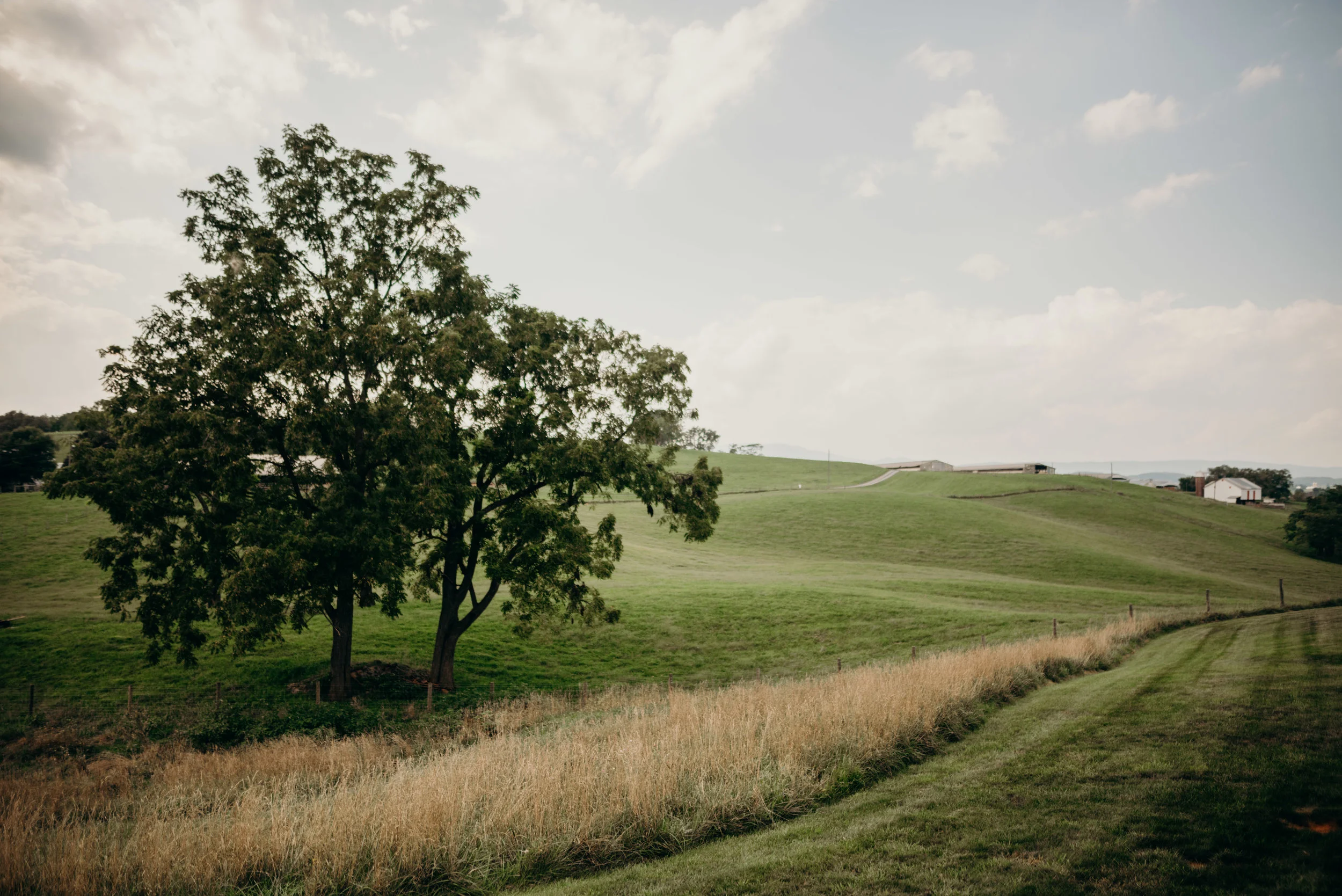 on-sunny-slope-farm-harrisonburg-wedding-virginia-9218.jpg