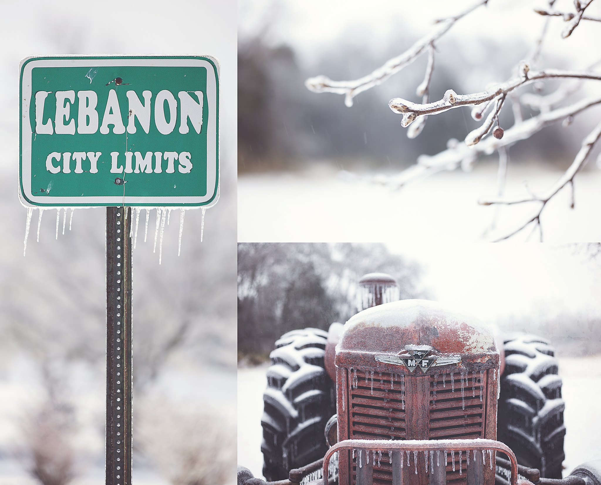 Tennessee Winter