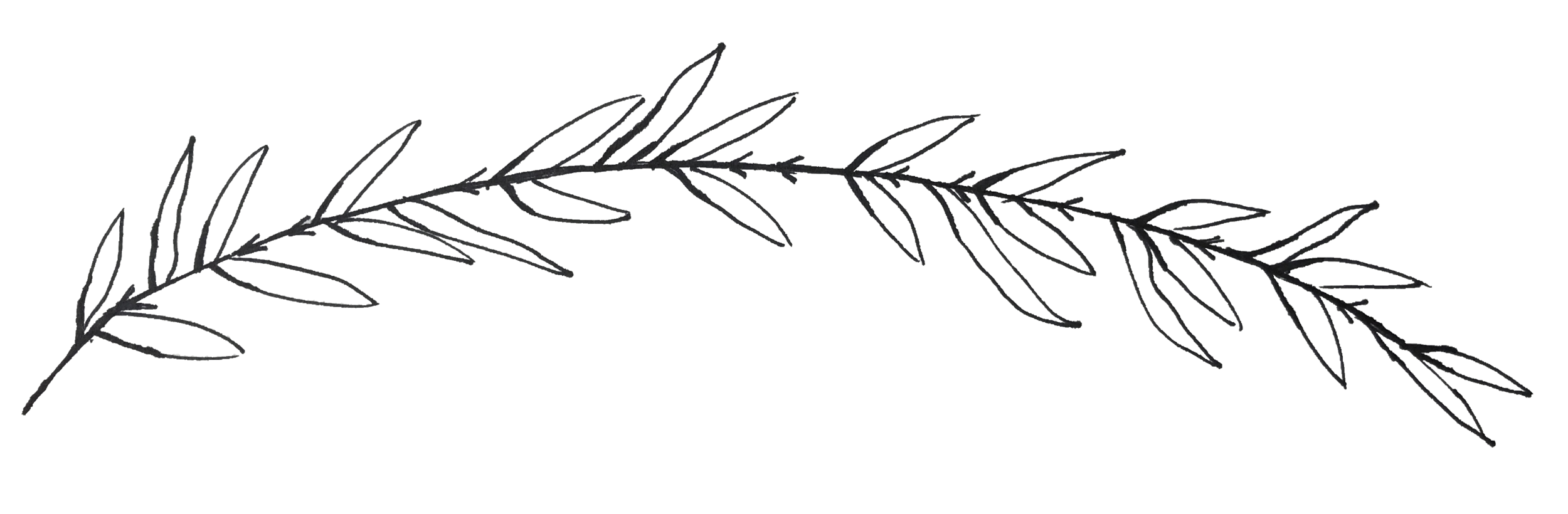 Rosemary branch large.png