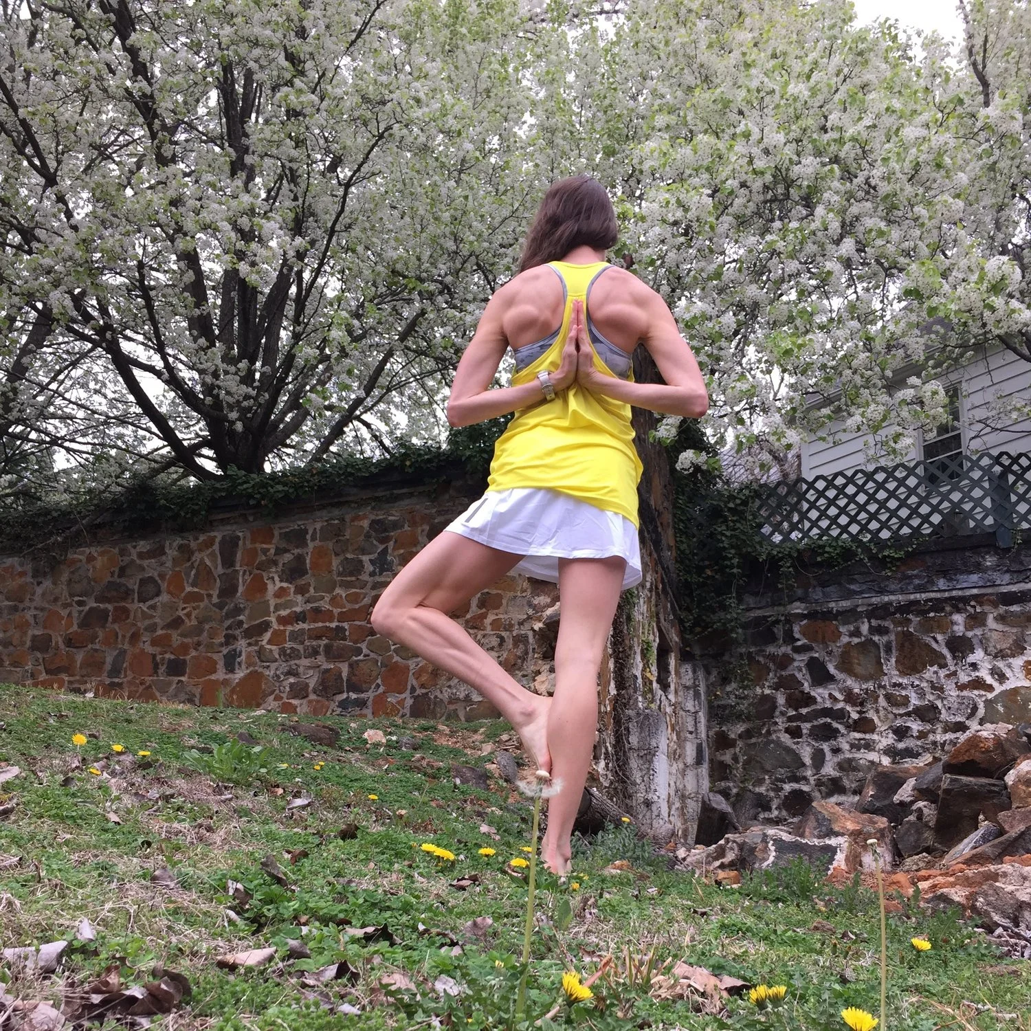 Growing Your Vrksasana / Tree Pose