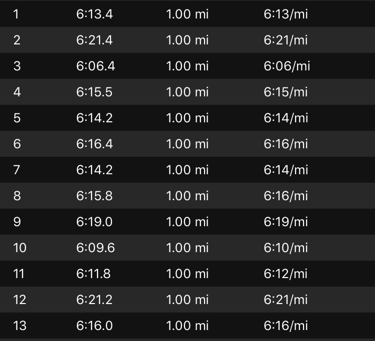 garmin data 1.jpg