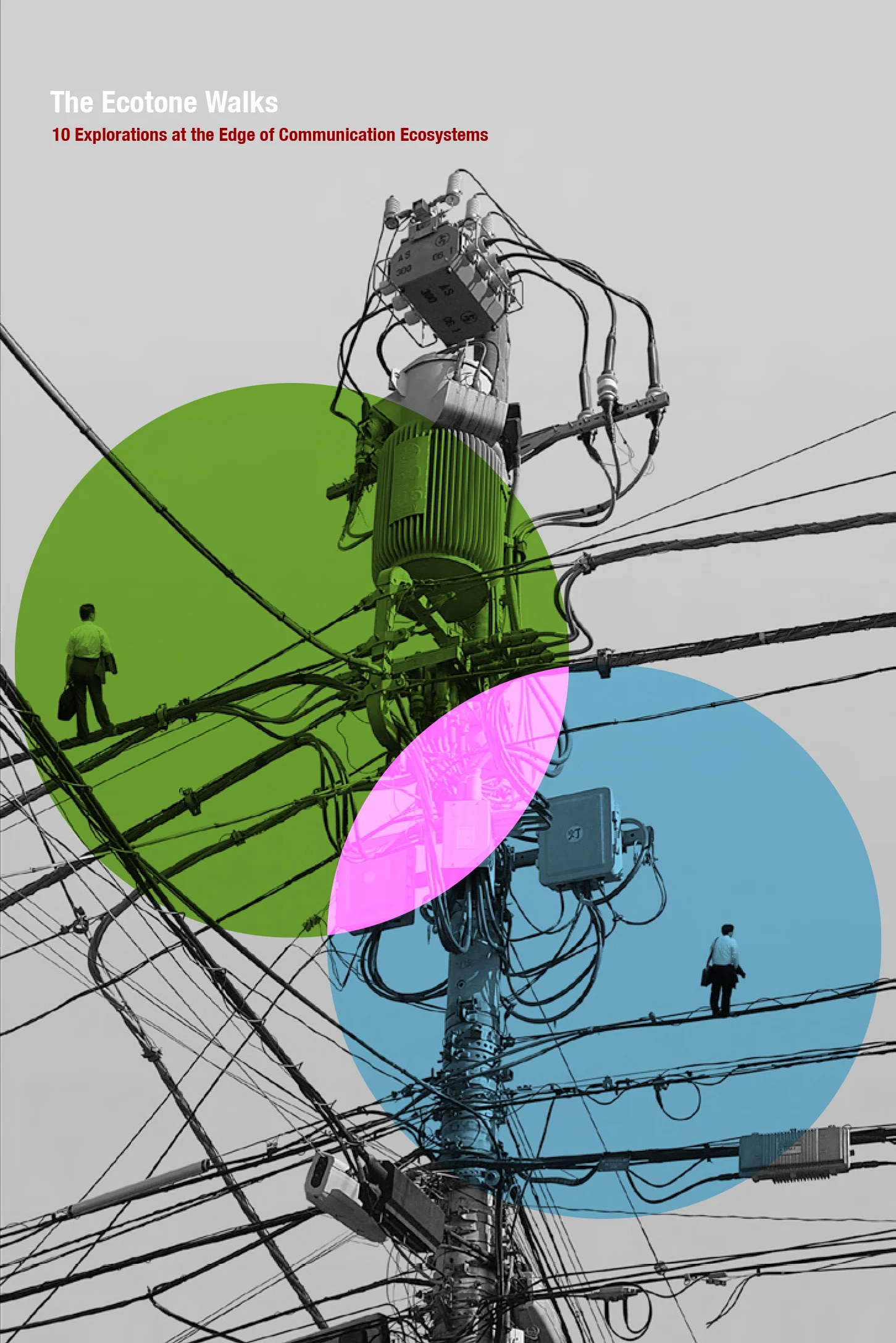 Ecotone_3.jpg