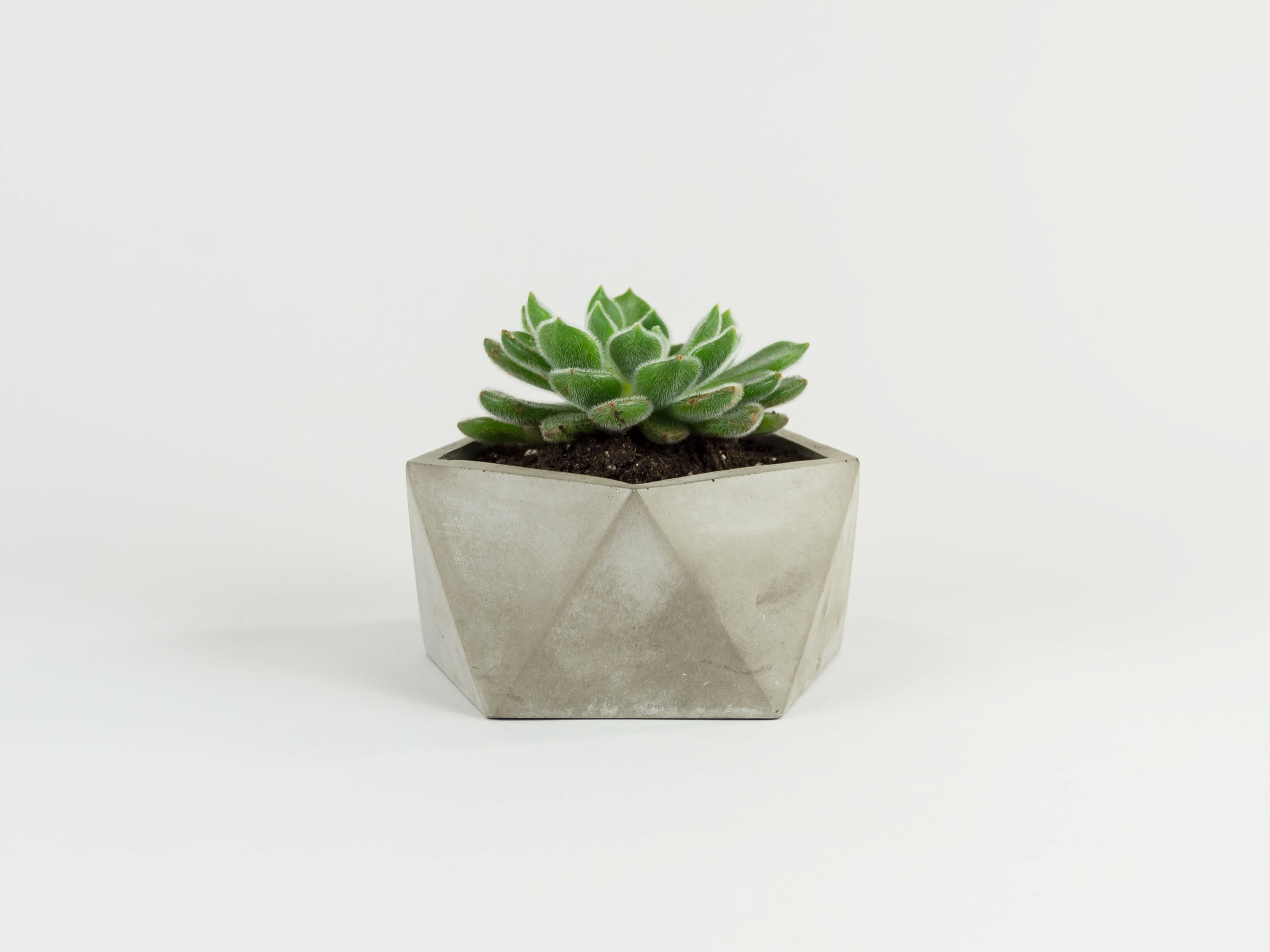 Modern-Concrete-Succulent-Planter-with-Geometric-Design-made-by-The-Savvy-Heart.jpg