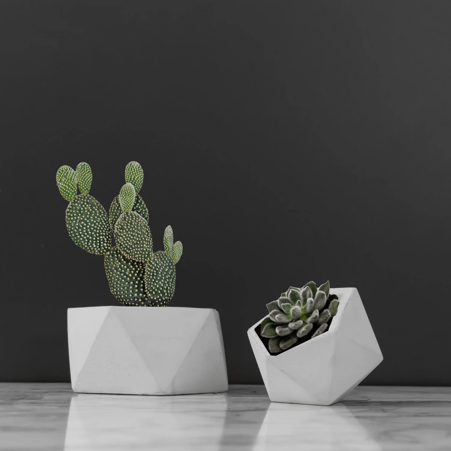 White+Concrete+Planter+Dish+by+The+Savvy+Heart.jpg