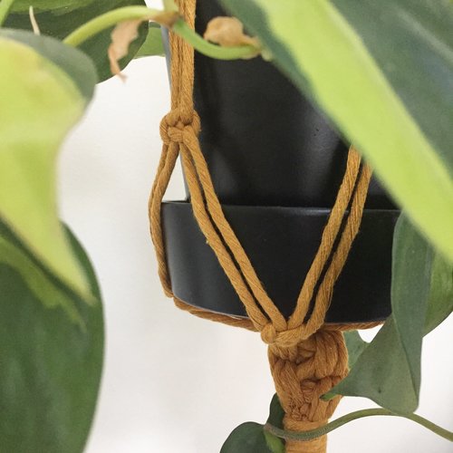 Simple Plant Hanger by Collectanea