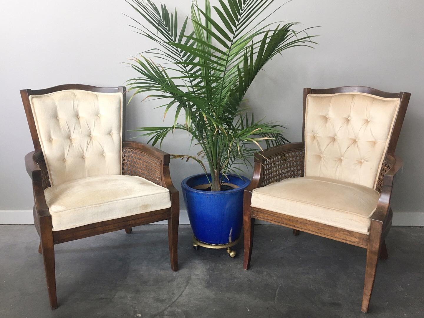 Pair of vintage cane chairs with tufted cream colored upholstery.⁠⠀
⁠⠀
✨Shop link in bio⁠⠀
⁠⠀
✨Viewing appointments available 7 days a week⁠⠀
⁠⠀
✨DM with questions or to schedule a viewing👀⁠⠀
.⁠⠀⁠⠀
.⁠⠀⁠⠀
.⁠⠀⁠⠀
#rerunroom #furniture #homedecor #seatt