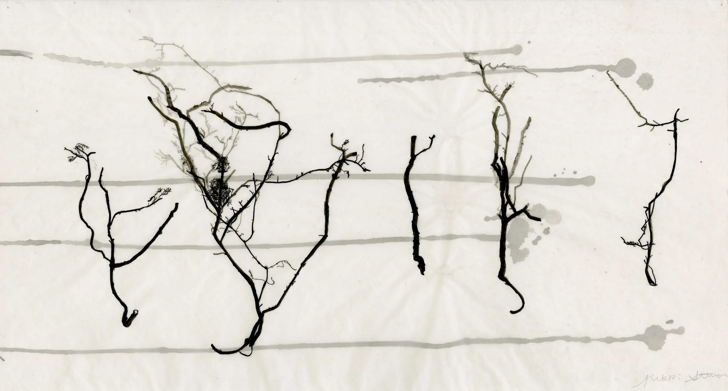 7 drawing 2 ink.jpg