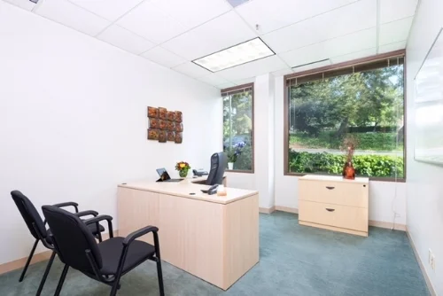 Window Office.jpeg