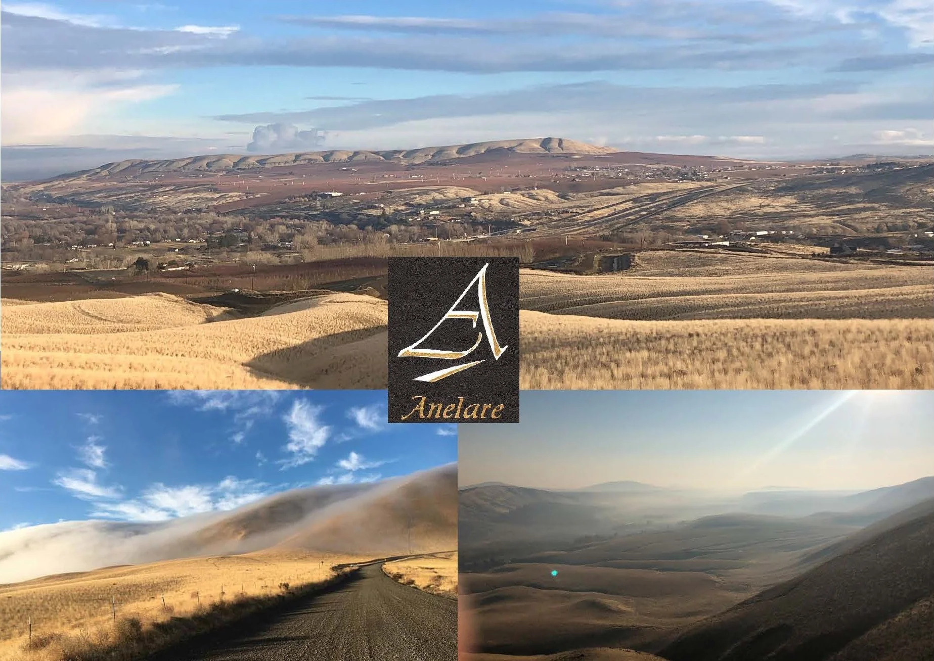 McBee+Hike+%2B+Library+Tasting+2019+%282%29.jpg