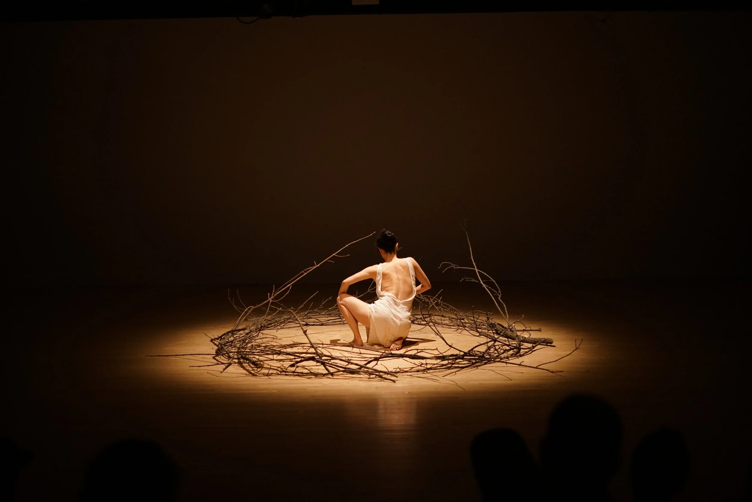 Photos by Tingyu Huang  at Links Hall Chicago