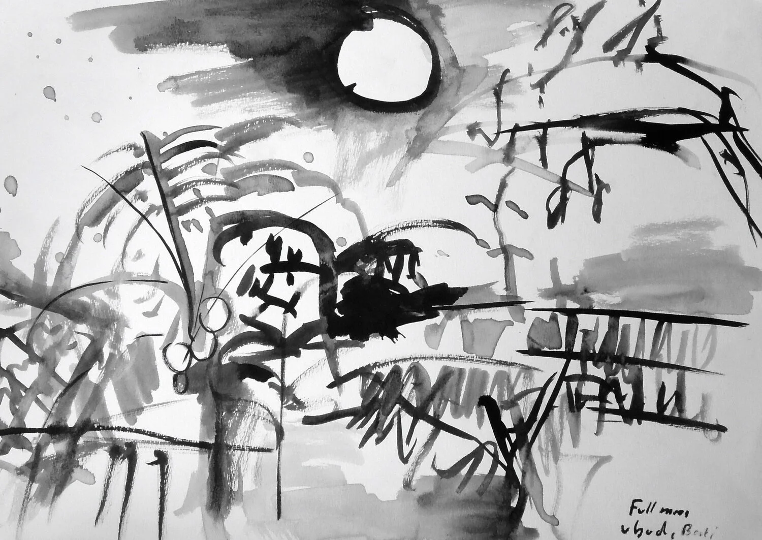 DSCN3213+copy.jpg