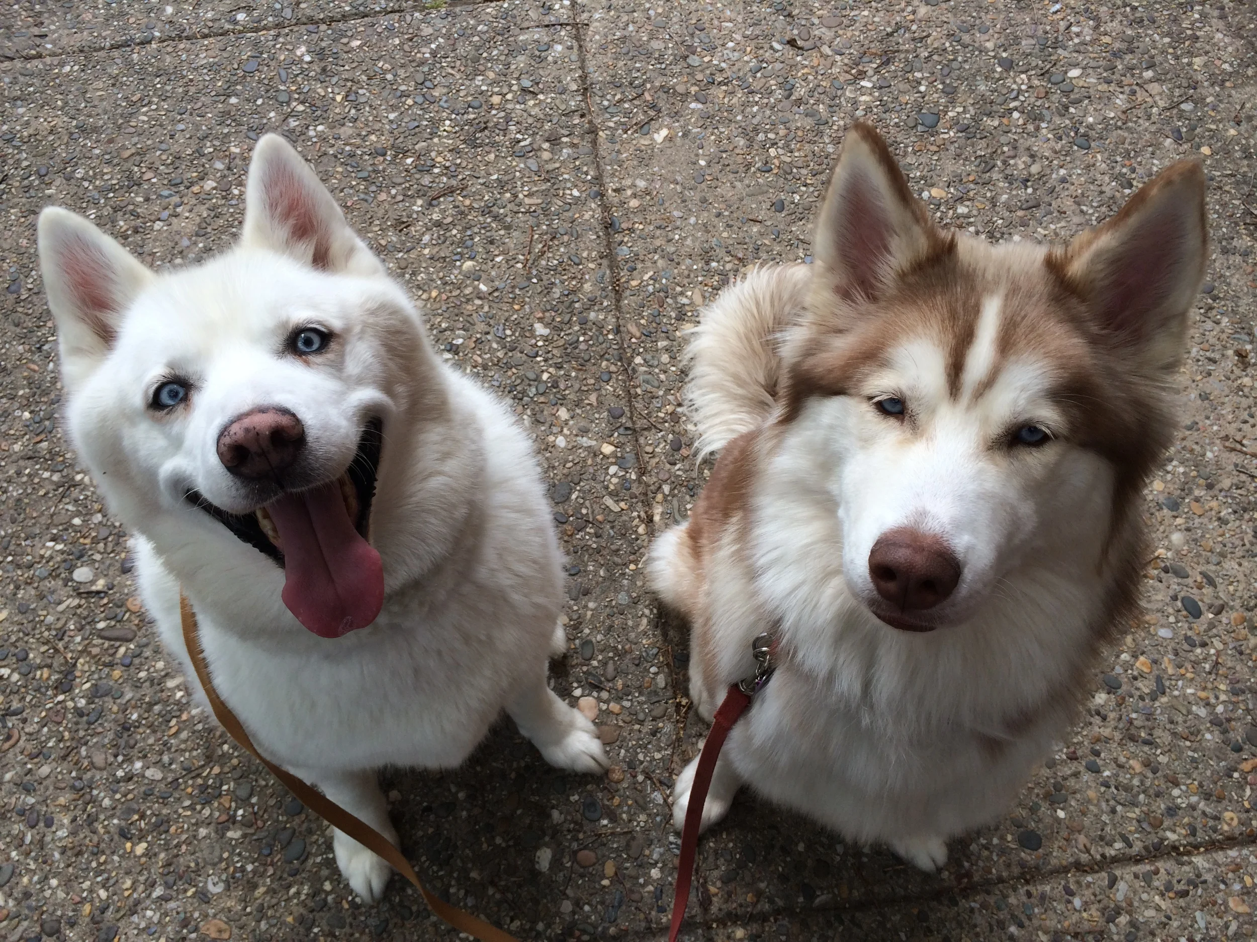 Katya & Lucas