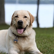 Tucker