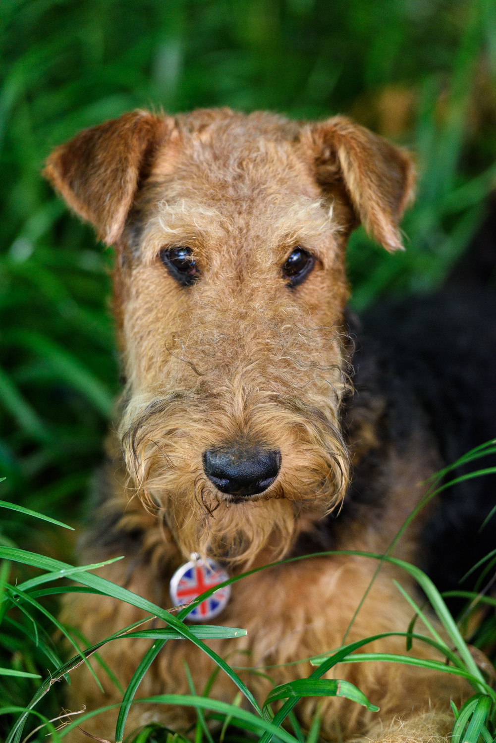 Barclay