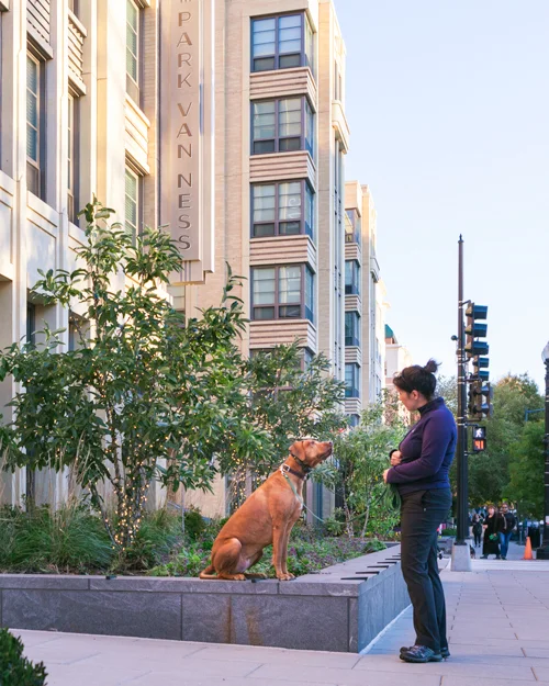 Vivie at Van Ness
