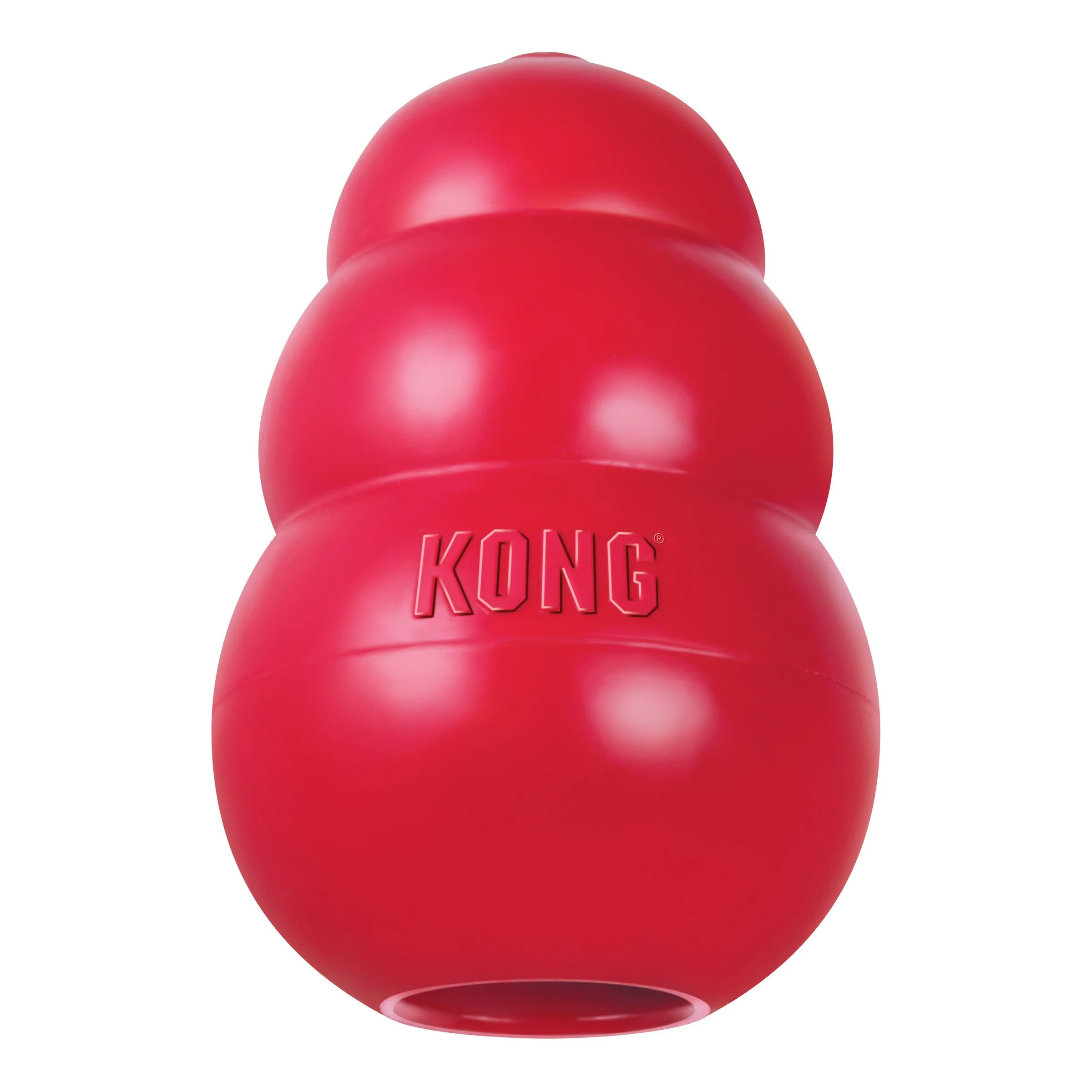 Kong Toy