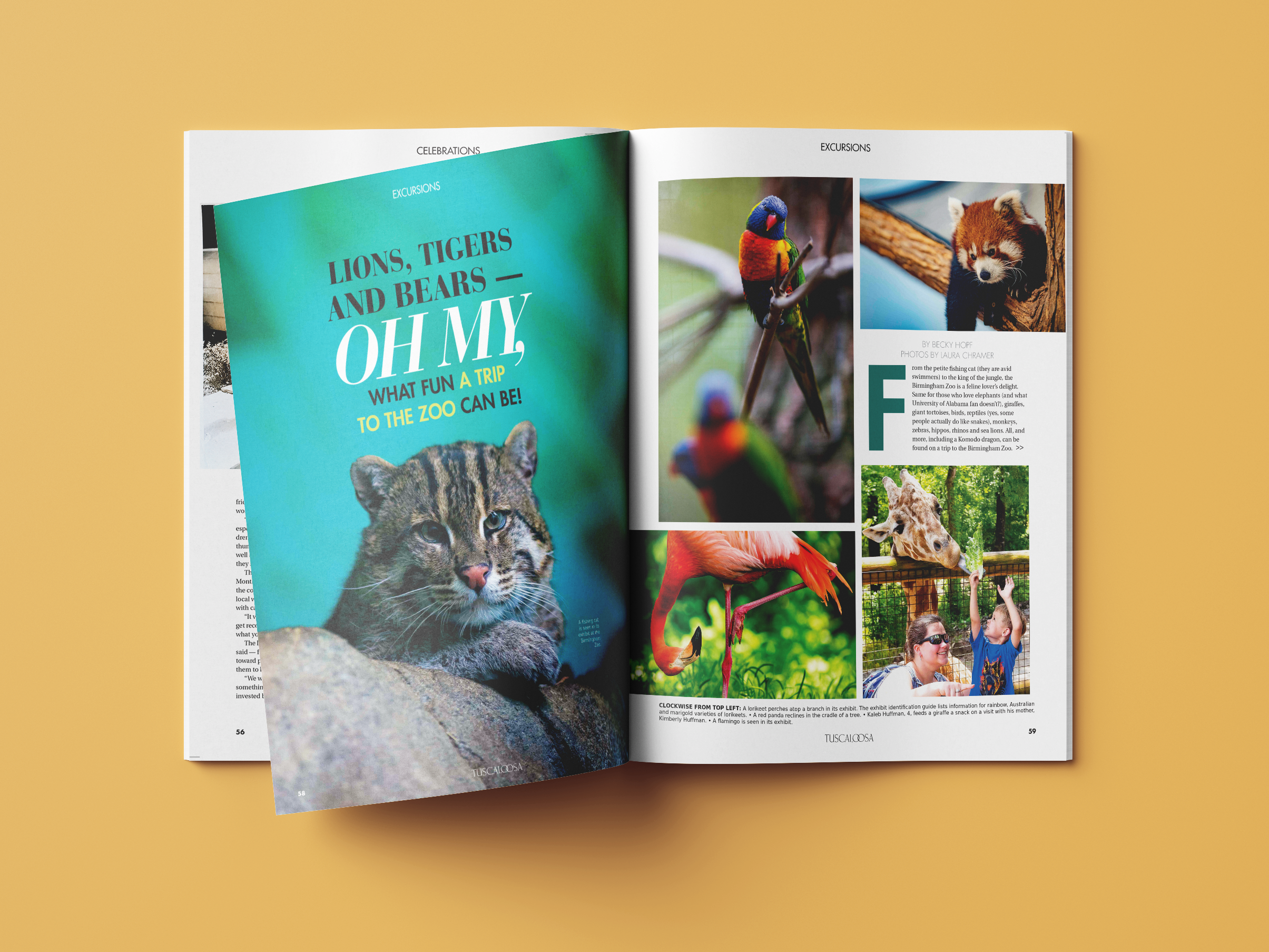 Animals_OpenSpread_Yellow.png