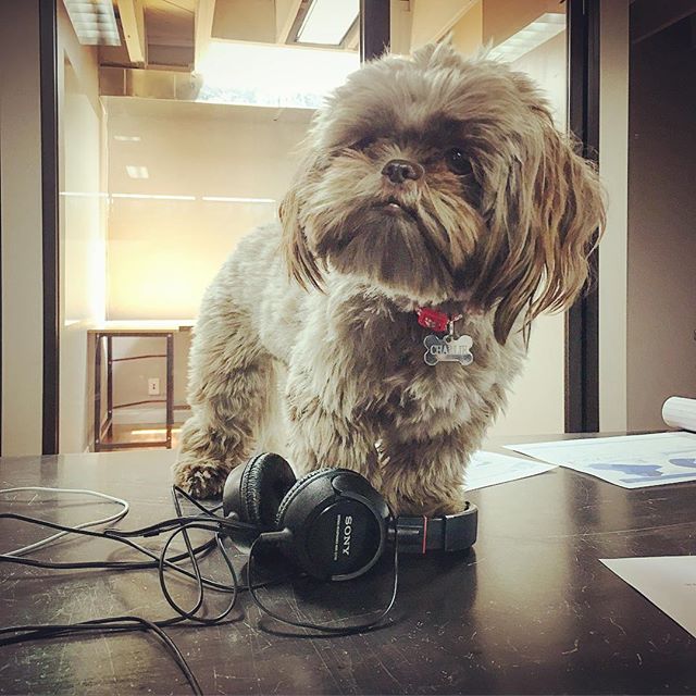Business By Charlie tip of the day: Wanna look busy? Put on headphones at your desk. 📈📊📇 #goodideas #winfriendsandinfluencepeople #officestuff