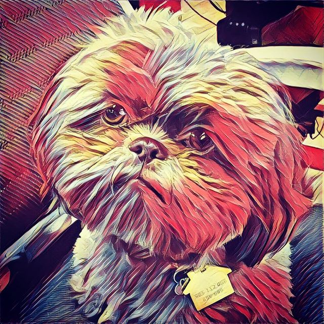Business by Charlie tip of the day: commission an oil painting of yourself for your office. Make sure to look stern so it seems like you're watching them even when you're not there #businessbycharlie #dogwork #toughboss ✏️ 🌎