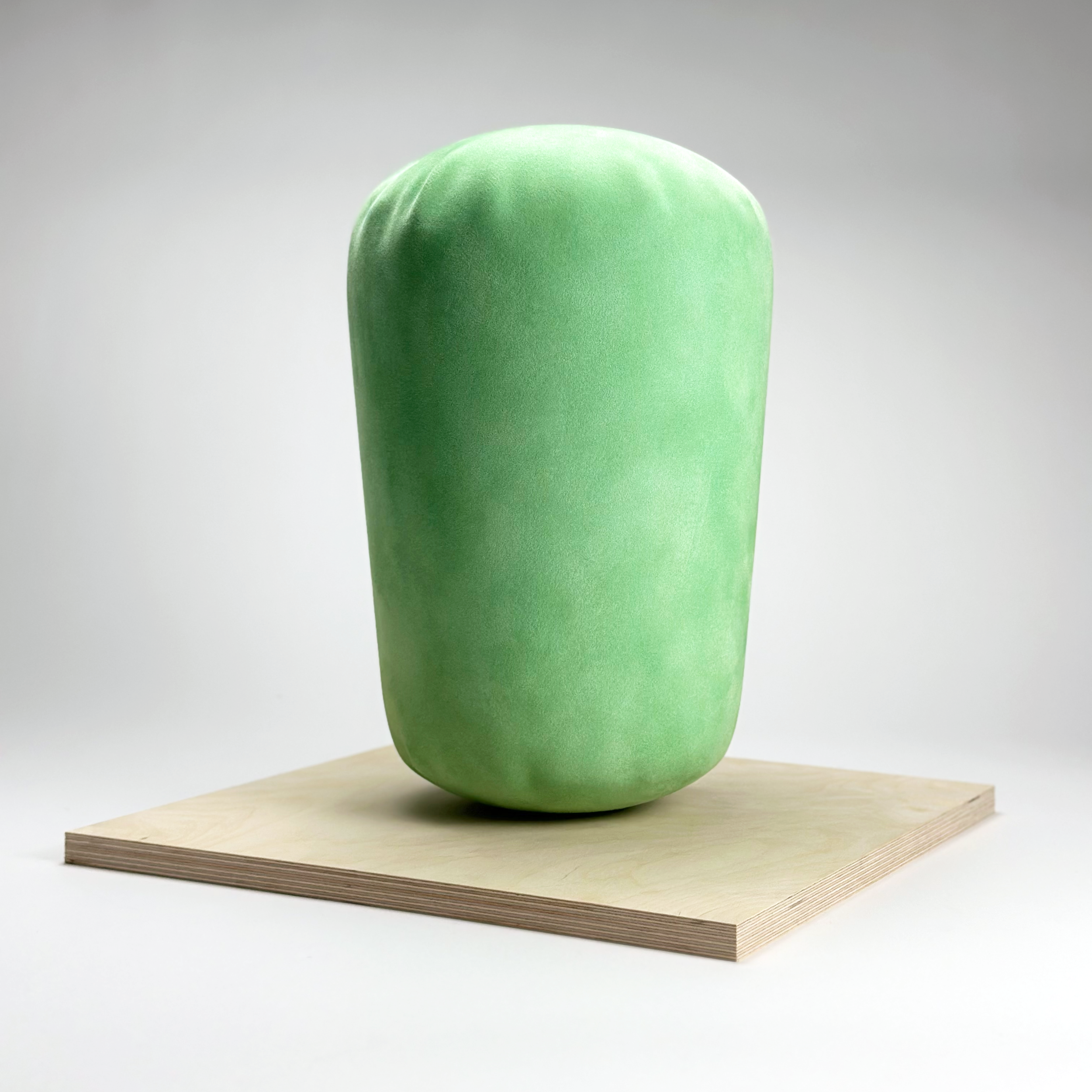 Noble Cactus