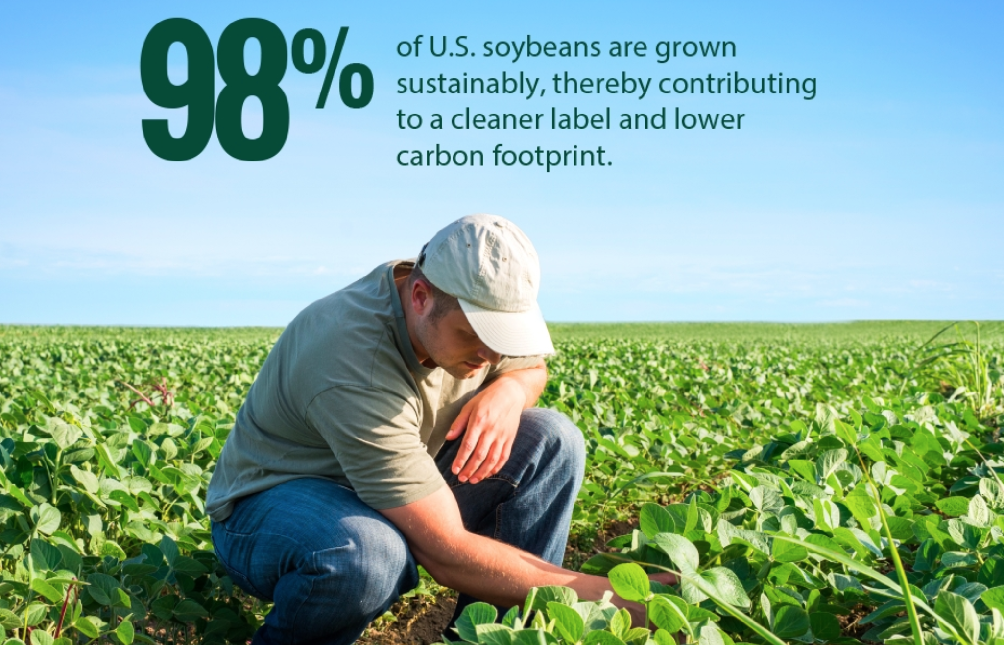 Screen Shot 2018-01-02 at 8.14.35 PM.png