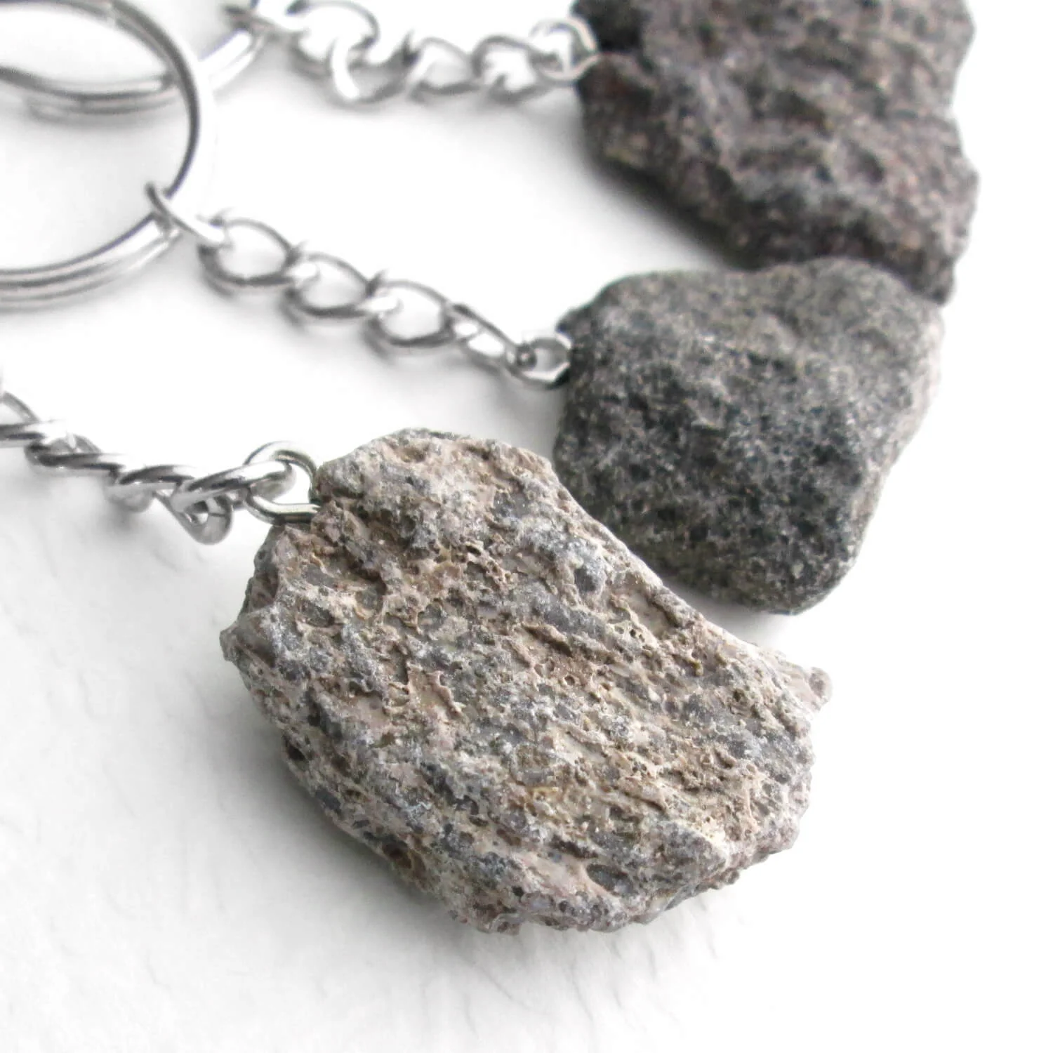 Dino Fossil Key Chain, Real Petrified Bone