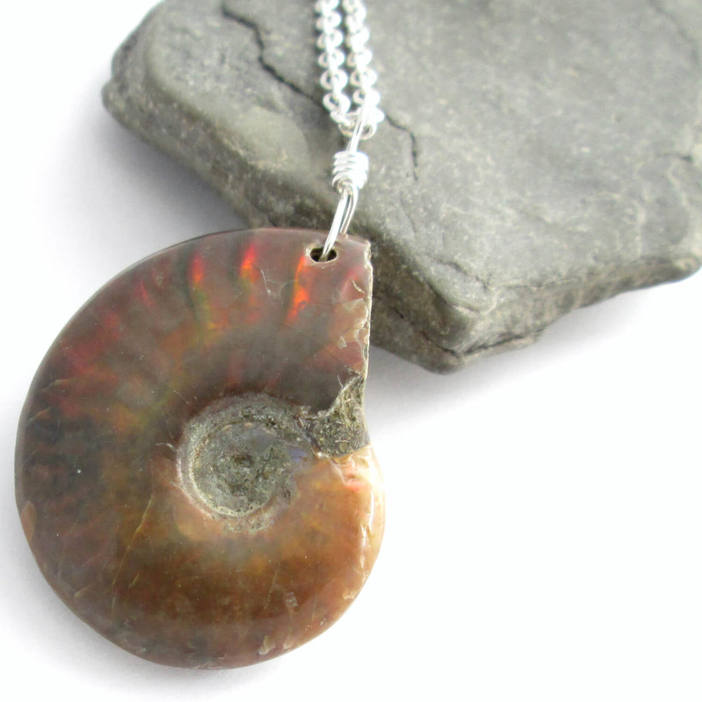 Ammonite Fossil Amulet
