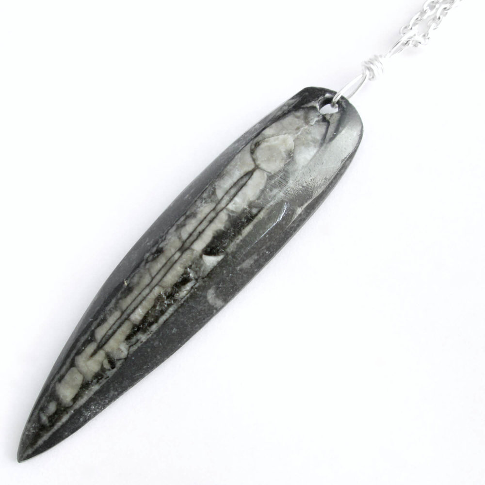 Orthoceras and Sodalite Necklace Unique Fossil Necklace