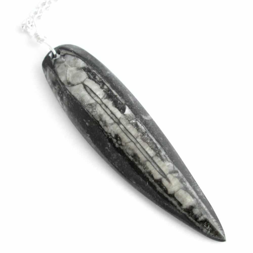 Orthoceras and Sodalite Necklace Unique Fossil Necklace